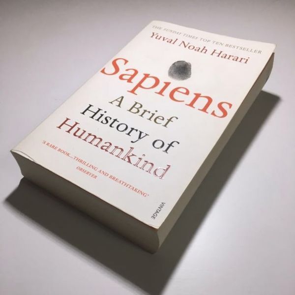 Книга Sapiens Історія Людства Англійська Юваль Харарі м'яка обкладинка BG1774 фото