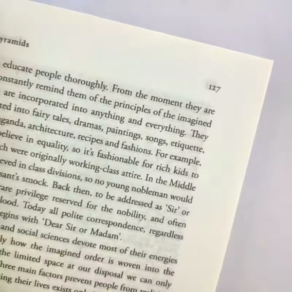 Книга Sapiens Історія Людства Англійська Юваль Харарі м'яка обкладинка BG1774 фото
