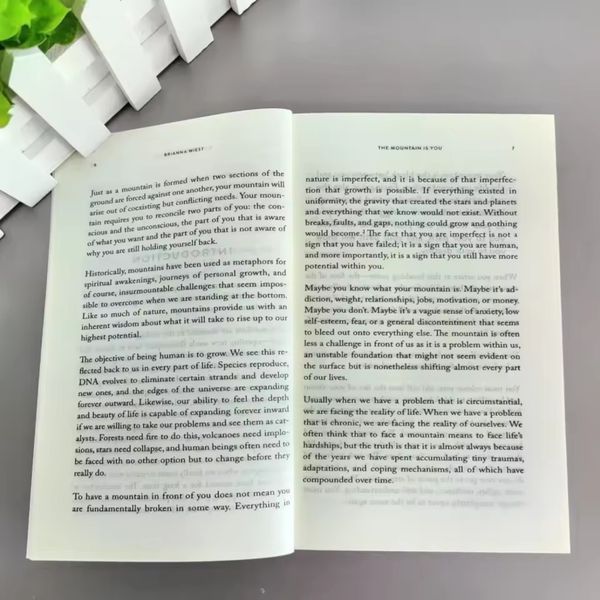 Книга The Mountain Is You англійською про особистісне зростання Бріанна Віст м'яка обкладинка BG1777 фото