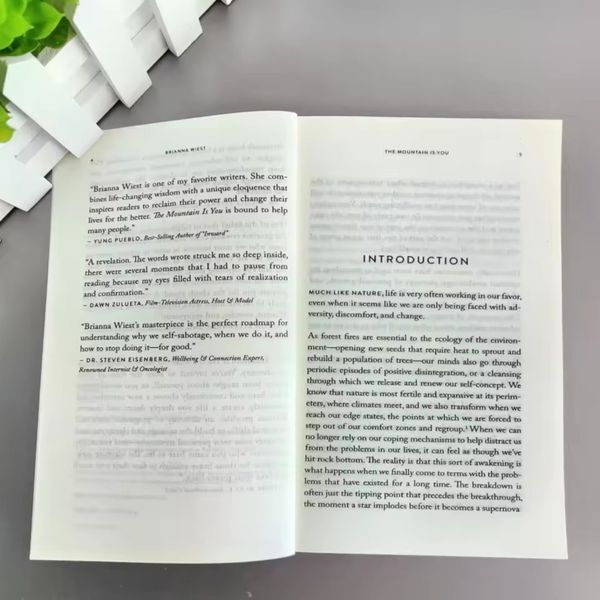 Книга The Mountain Is You англійською про особистісне зростання Бріанна Віст м'яка обкладинка BG1777 фото