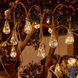 Садовая гирлянда 10м 20 LED тёплый свет с пультом на солнечной батарее G03116 фото 10