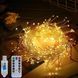 Декоративная светодиодная гирлянда 3 метра 100 теплых LED с пультом USB питание G03119 фото 4