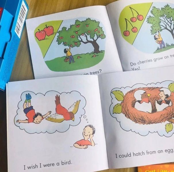 Набір з 25 дитячих міні-книг англійською First Little Readers Level D BG1758D фото
