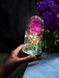 Оригинальный подарок Вечная LED Розовая роза в колбе с подсветкой ночник P13093 фото 1