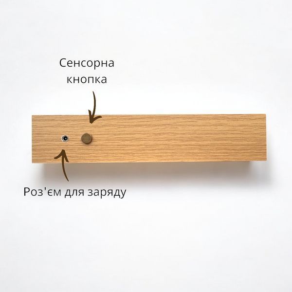 Світлодіодна картина-нічник з акумулятором та сенсорним керуванням H12037 фото