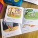 Набір дитячих мінікнижок для вивчення англійської рівні E та F First Little Readers BG1758E фото 7