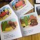 Набір дитячих мінікнижок для вивчення англійської рівні E та F First Little Readers BG1758E фото 3
